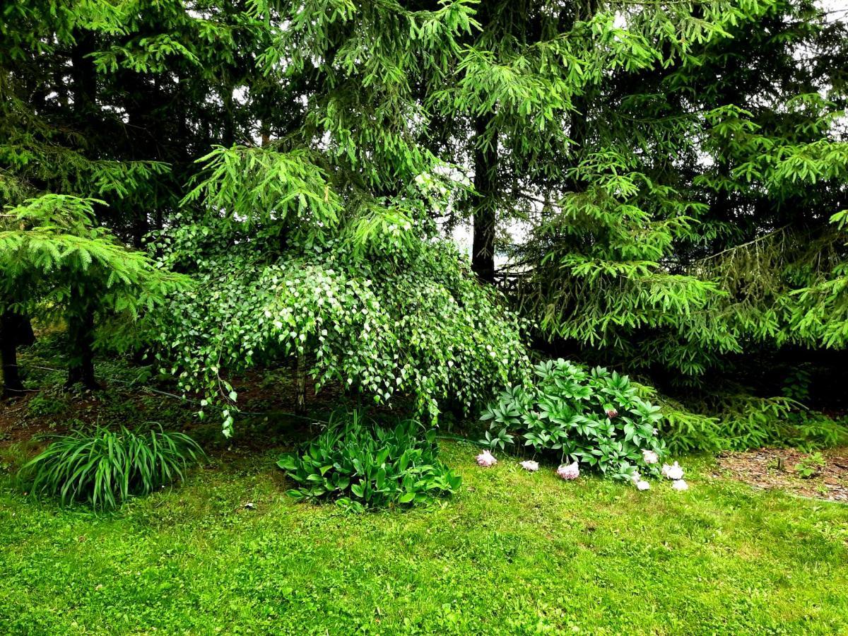 Kosiedlisko Villa คราชนิค ภายนอก รูปภาพ