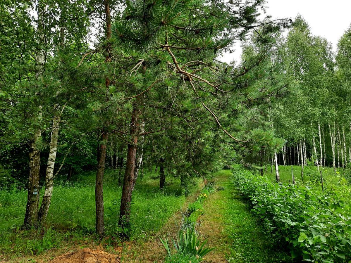 Kosiedlisko Villa คราชนิค ภายนอก รูปภาพ